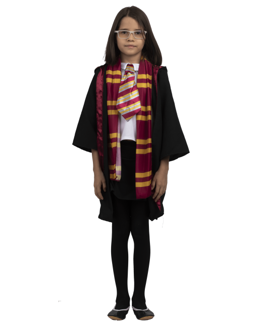 Disfraz De Harry Potter Disfraz Escuela Gryffindor