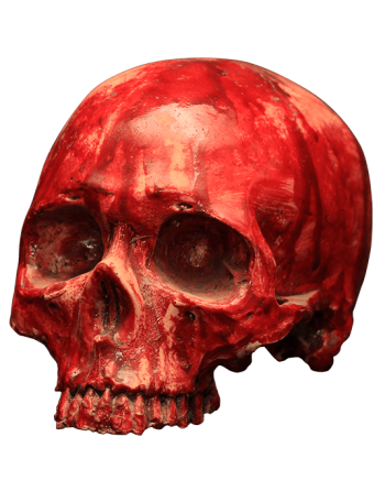 Bloody Resin Skull